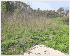  2025Ÿ��10161  ����