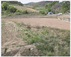  2025Ÿ��10161  ����