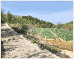  2025Ÿ��10165 ��� �Ǽ��� �Ǽ��� �ȼ��� ��37-2      ����(�Ӿ�)���