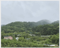  2025Ÿ��10167 �뱸 ������ ȿ�ɸ� ������ ��72-1      ����(�Ӿ�)���