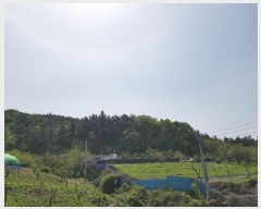  2025Ÿ��10167 �뱸 ������ ȿ�ɸ� ������ ��72-1      ����(�Ӿ�)���