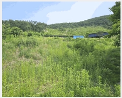  2025Ÿ��10175 ��� �Ǽ��� ���θ� �缭�� 227      ����(��1)���