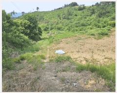  2025Ÿ��10175 ��� �Ǽ��� ���θ� �缭�� 227      ����(��1)���