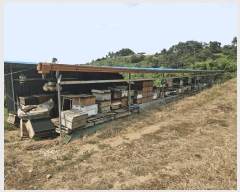  2025Ÿ��10175 ��� �Ǽ��� ���θ� �缭�� 227      ����(��1)���