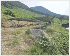  2025Ÿ��10175 ��� �Ǽ��� ���θ� �缭�� 227      ����(��1)���