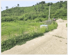  2025Ÿ��10175 ��� �Ǽ��� ���θ� �缭�� 227      ����(��1)���