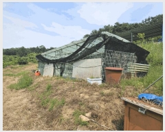  2025Ÿ��10175 ��� �Ǽ��� ���θ� �缭�� 227      ����(��1)���