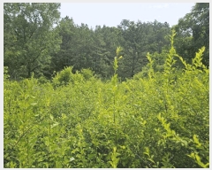  2025Ÿ��10191 ��� �Ǽ��� �ݼ��� ���ϸ� 362      ����(��1)���