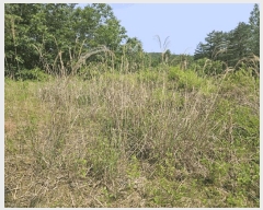  2025Ÿ��10191 ��� �Ǽ��� �ݼ��� ���ϸ� 362      ����(��1)���