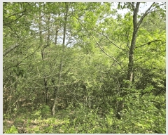  2025Ÿ��10191 ��� �Ǽ��� �ݼ��� ���ϸ� 362      ����(��1)���