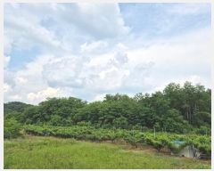  2025Ÿ��10191 ��� �Ǽ��� �ݼ��� ���ϸ� 362      ����(��1)���