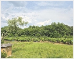  2025Ÿ��10191 ��� �Ǽ��� �ݼ��� ���ϸ� 362      ����(��1)���