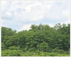  2025Ÿ��10191 ��� �Ǽ��� �ݼ��� ���ϸ� 362      ����(��1)���