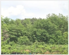  2025Ÿ��10191 ��� �Ǽ��� �ݼ��� ���ϸ� 362      ����(��1)���