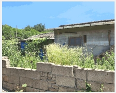  2025Ÿ��10221  ���ð��