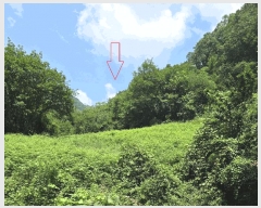  2025Ÿ��10227 ��� �Ǽ��� ����� ������ 519      ����(��1)���