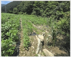  2025Ÿ��10227 ��� �Ǽ��� ����� ������ 519      ����(��1)���