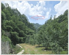  2025Ÿ��10227 ��� �Ǽ��� ����� ������ 519      ����(��1)���