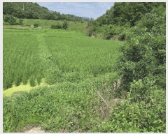  2025Ÿ��10227 ��� �Ǽ��� ����� ������ 519      ����(��1)���