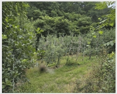  2025Ÿ��10227 ��� �Ǽ��� ����� ������ 519      ����(��1)���