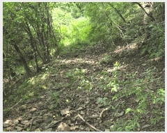  2025Ÿ��10227 ��� �Ǽ��� ����� ������ 519      ����(��1)���