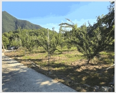  2025Ÿ��10229  �����