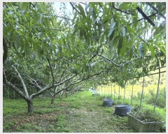  2025Ÿ��10229  �����