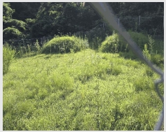  2025Ÿ��10229  �����