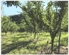  2025Ÿ��10229  �����