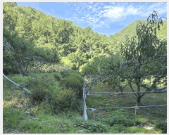  2025Ÿ��10229  �����