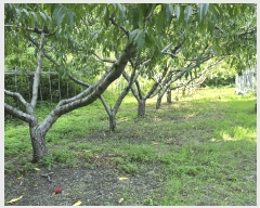  2025Ÿ��10229  �����