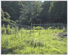  2025Ÿ��10229  �����