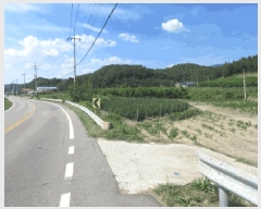  2025Ÿ��10245 �뱸 ������ ����� ���踮 731-3      ����(��)���