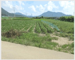  2025Ÿ��10245 �뱸 ������ ����� ���踮 731-3      ����(��)���