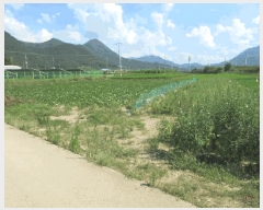  2025Ÿ��10245 �뱸 ������ ����� ���踮 731-3      ����(��)���