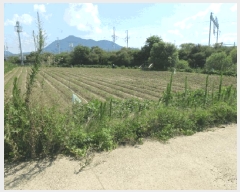  2025Ÿ��10245 �뱸 ������ ����� ���踮 731-3      ����(��)���