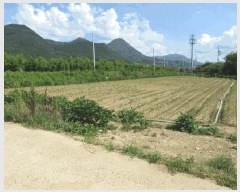  2025Ÿ��10245 �뱸 ������ ����� ���踮 731-3      ����(��)���