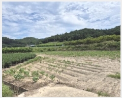  2025Ÿ��10245 �뱸 ������ ����� ���踮 731-3      ����(��)���