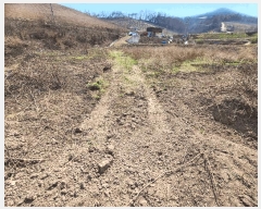  2025Ÿ��186 ��� û�۱� ������ ������ 338-1      ����(����)���