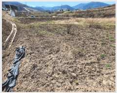  2025Ÿ��186 ��� û�۱� ������ ������ 338-1      ����(����)���