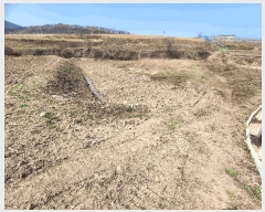  2025Ÿ��186 ��� û�۱� ������ ������ 338-1      ����(����)���