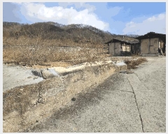  2025Ÿ��10008  �������