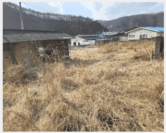  2025Ÿ��10008  �������