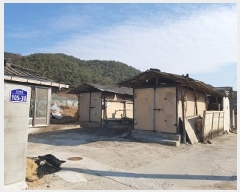  2025Ÿ��10008  �������