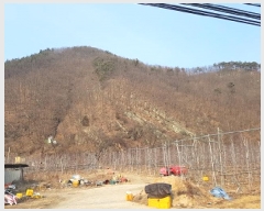  2025Ÿ��10060 ��� û�۱� ��õ�� ������ ��77      ����(�Ӿ�)���