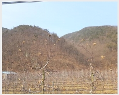  2025Ÿ��10060 ��� û�۱� ��õ�� ������ ��77      ����(�Ӿ�)���