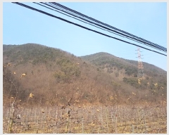  2025Ÿ��10060 ��� û�۱� ��õ�� ������ ��77      ����(�Ӿ�)���