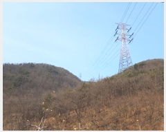  2025Ÿ��10060 ��� û�۱� ��õ�� ������ ��77      ����(�Ӿ�)���