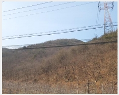  2025Ÿ��10060 ��� û�۱� ��õ�� ������ ��77      ����(�Ӿ�)���