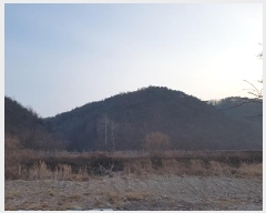  2025Ÿ��10060 ��� û�۱� ��õ�� ������ ��77      ����(�Ӿ�)���